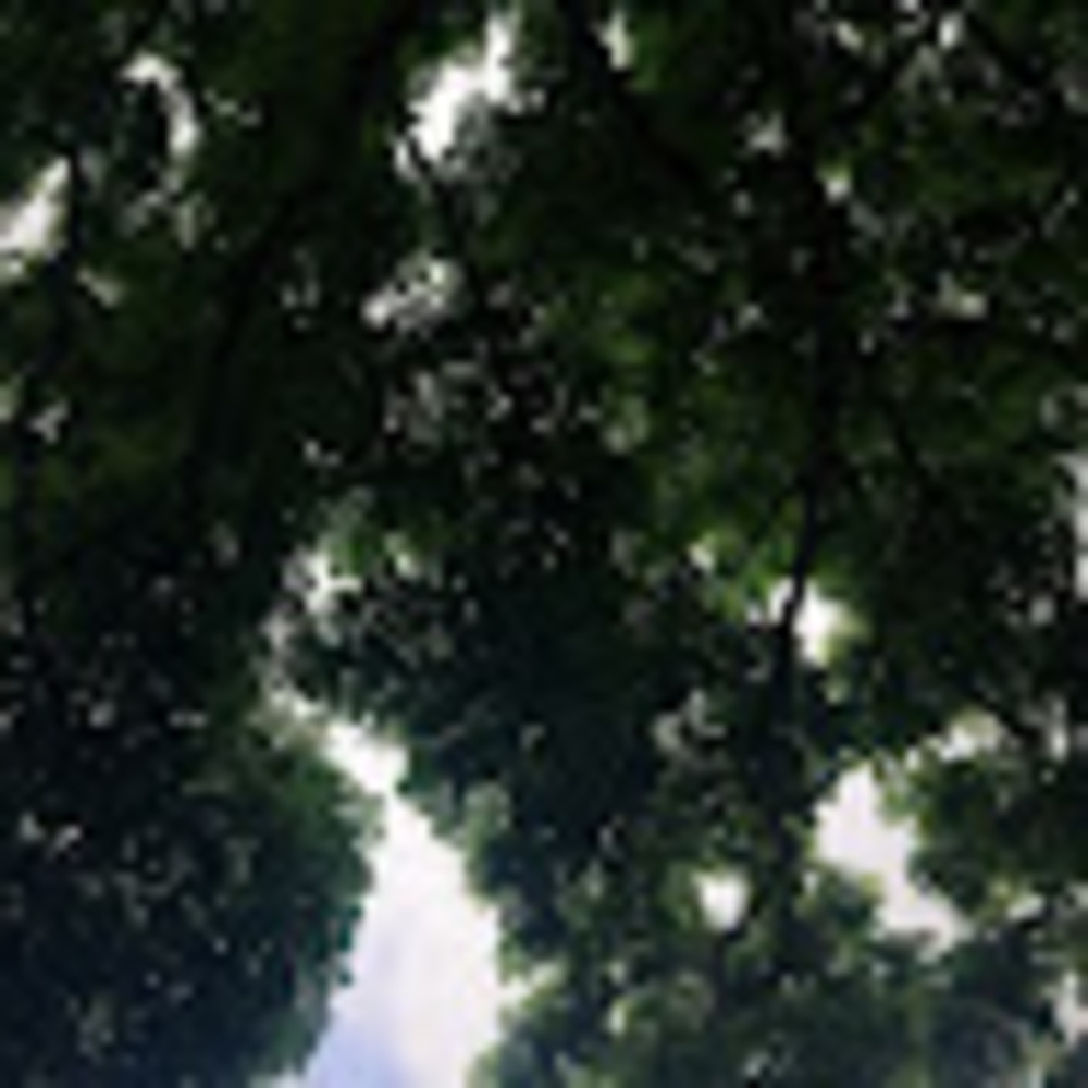 Meet your Posher, Dasha